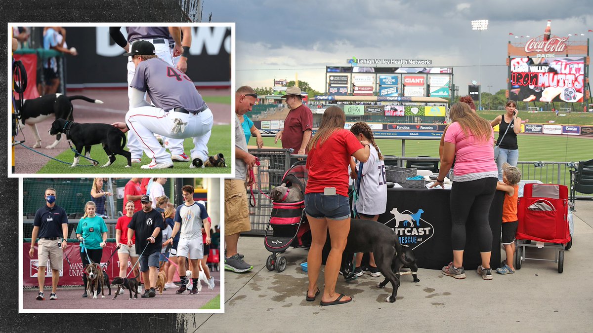 Minor League Baseball tweet media