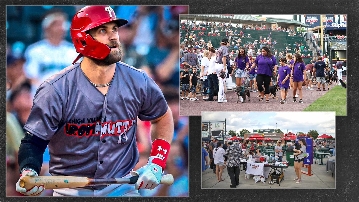 Minor League Baseball tweet media