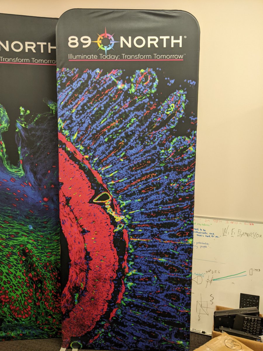 Brandthropology's tweet photo. After launching their new website, we've dived head first into evolving the brand of 89 North. Take a look at their new fabric displays!
#techinvermont #innov802 #ChromaTechnology #89north #branding https://t.co/VSVuwPNpBe