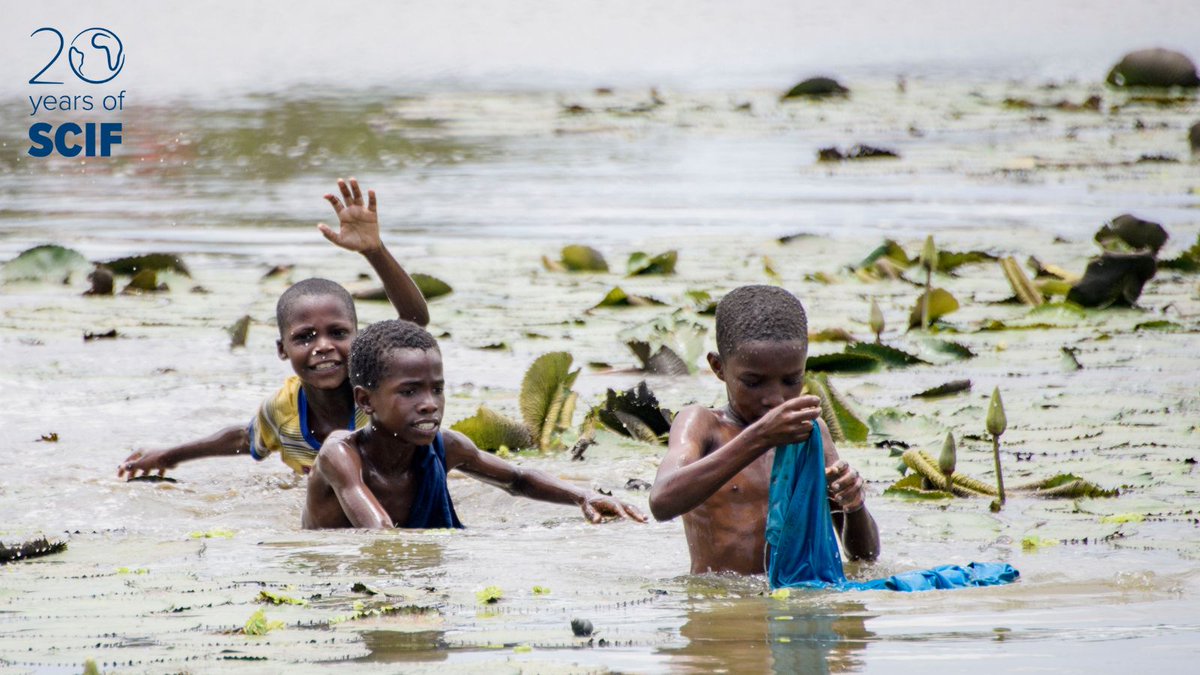 unlimit_health's tweet photo. Several neglected tropical diseases, including #schistosomiasis, are linked with poor quality water being used for drinking🚰 bathing 🧼 fishing 🎣 and recreation 🏊🏾♂️
#WASH #WorldWaterWeek #BeatNTDs #WWWeek22 @siwi_www https://t.co/YpC2vo7IGa