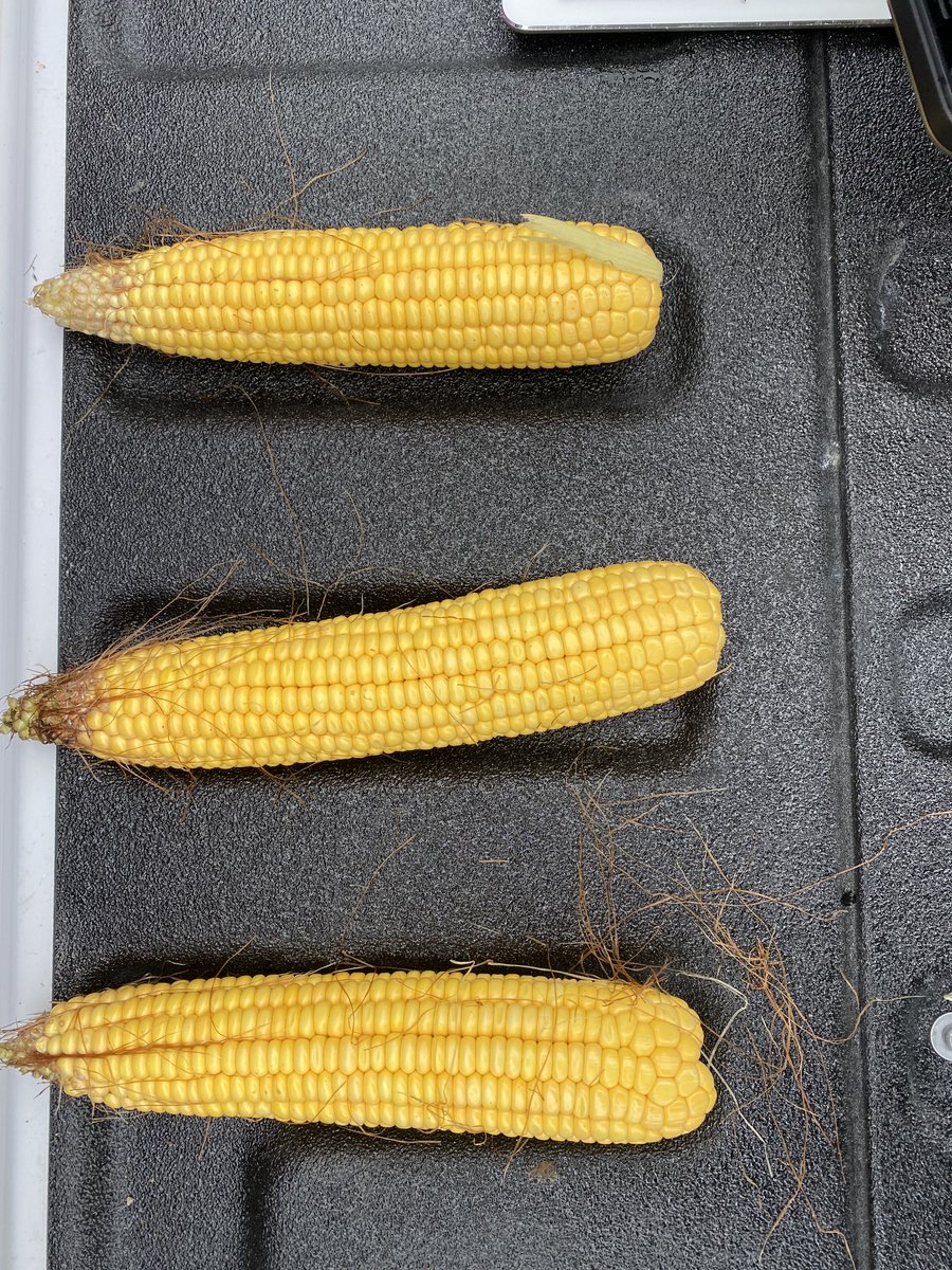 Josh Shofner tweet media