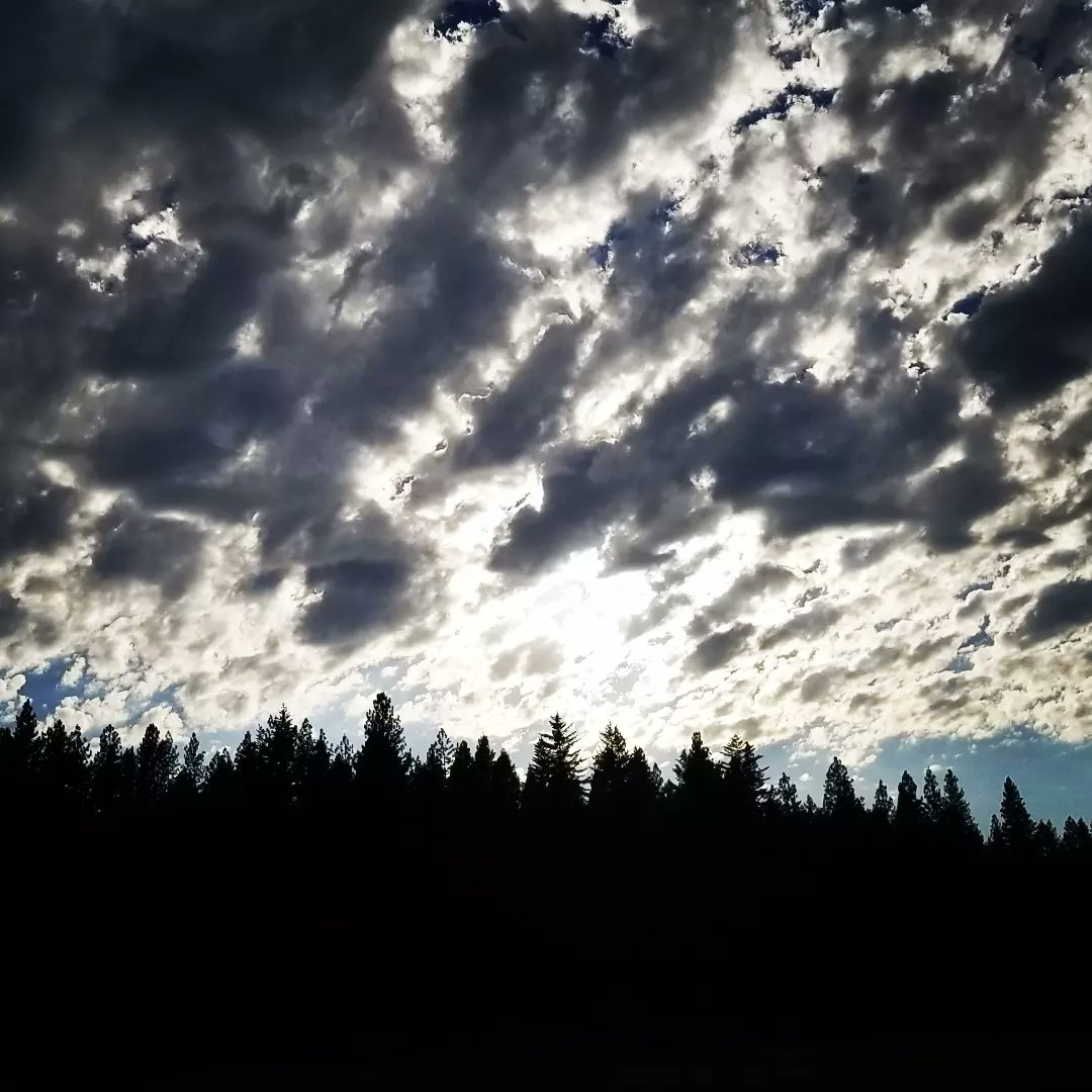 MyHappyFeetIG's tweet photo. View from my paddleboard. https://t.co/O7Vwz8mgGJ
