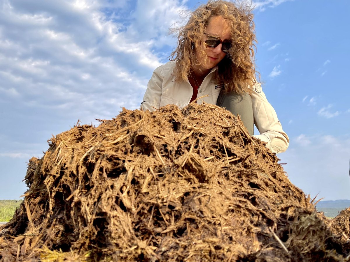 SCampbellstaton's tweet photo. Hey @madison_lichak, I’m trying to think of a new lab slogan. How about “The Campbell-Staton Group: We get $h!t done” 💩 💩 💩 https://t.co/jVkjUyKjdd