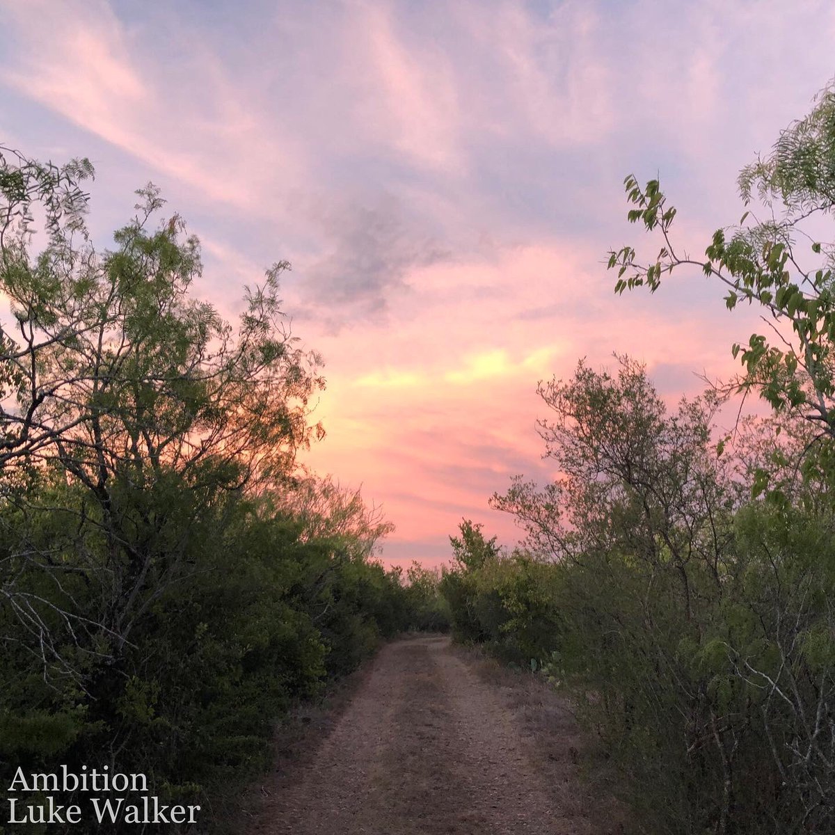 RealLukeWalker's tweet photo. *New Single*

“Ambition” by Luke Walker

Spotify:
https://t.co/nJV2o9oOeK

Apple Music: 
https://t.co/cw6QZRCguQ

YouTube:
https://t.co/HNosjxKgZ6 https://t.co/8bckhltZfo