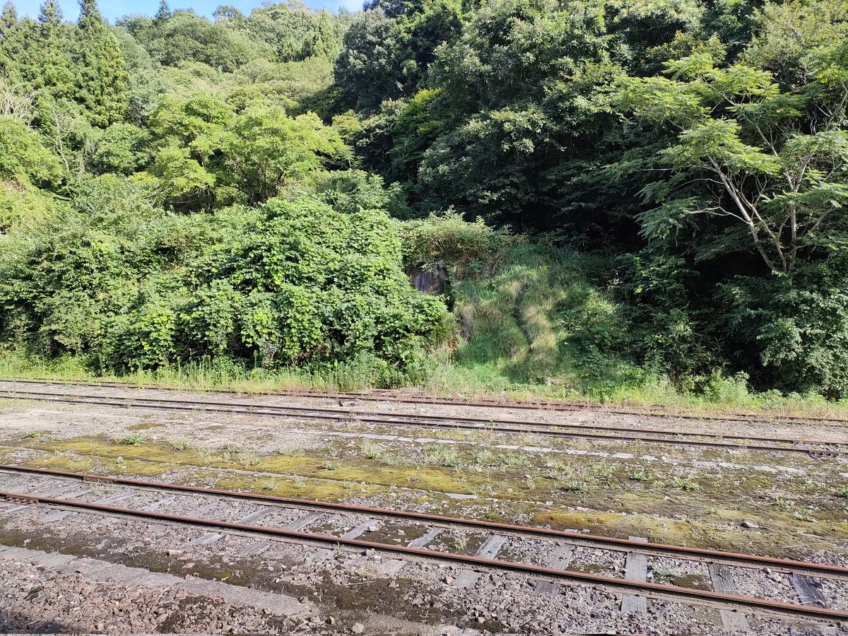 bottiplayers's tweet photo. 備後落合乗り継ぎ失敗まとめ
【原因】三次行きの時間の勘違い
【待ち時間何をしたか】
・旧国鉄職員の話を聞く
・鉄道遺構の撮影と観察
・模型を見る＆鉄道雑誌を読む
・ドライブインに行く
【感想】
山奥の無のターミナル（オタクが居なくなると一気に静かになる）
乗り継ぎミスるときつい https://t.co/bMk2rUqglp