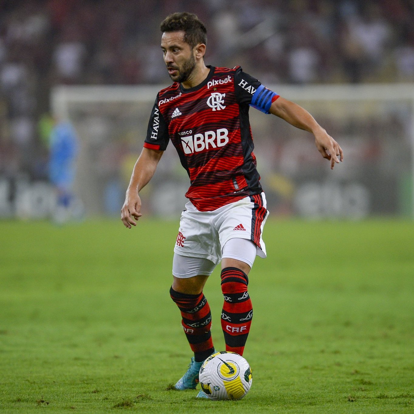 Sofascore Brazil on Twitter "Everton Ribeiro (33 anos) com Dorival