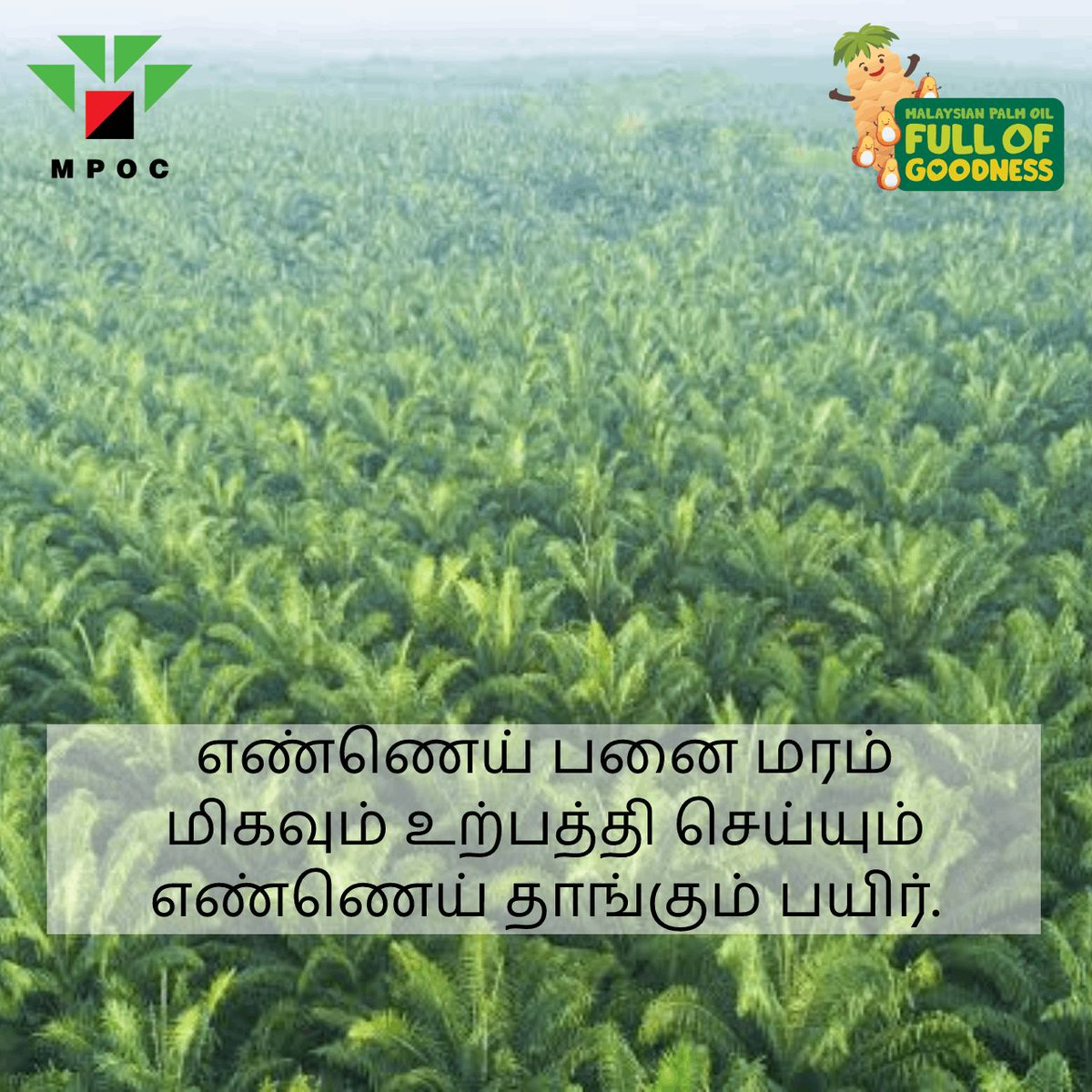 thinkpalmoil's tweet photo. #MPOC #Tamil #TamilNadu #Chennai #MPOCIndia https://t.co/heQyxEHlB6