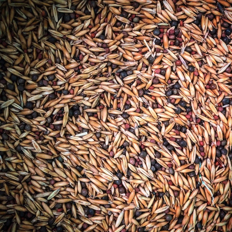 SWFarmConsultants tweet media