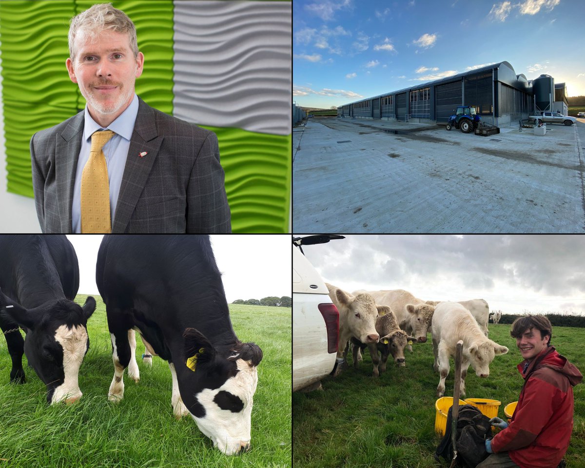 CornishMutual's tweet photo. In just four years, AgriTech Cornwall has built a legacy of innovation with soil carbon, TechnoGrazing and dairy farm sustainability projects ๐ฑ๐๐ฅ
Learn more about these initiatives in our new #CMFutureFarming Innovation articles ๐
https://t.co/zsPbkj2CMz @agritecchie https://t.co/m9L1fFCwQO