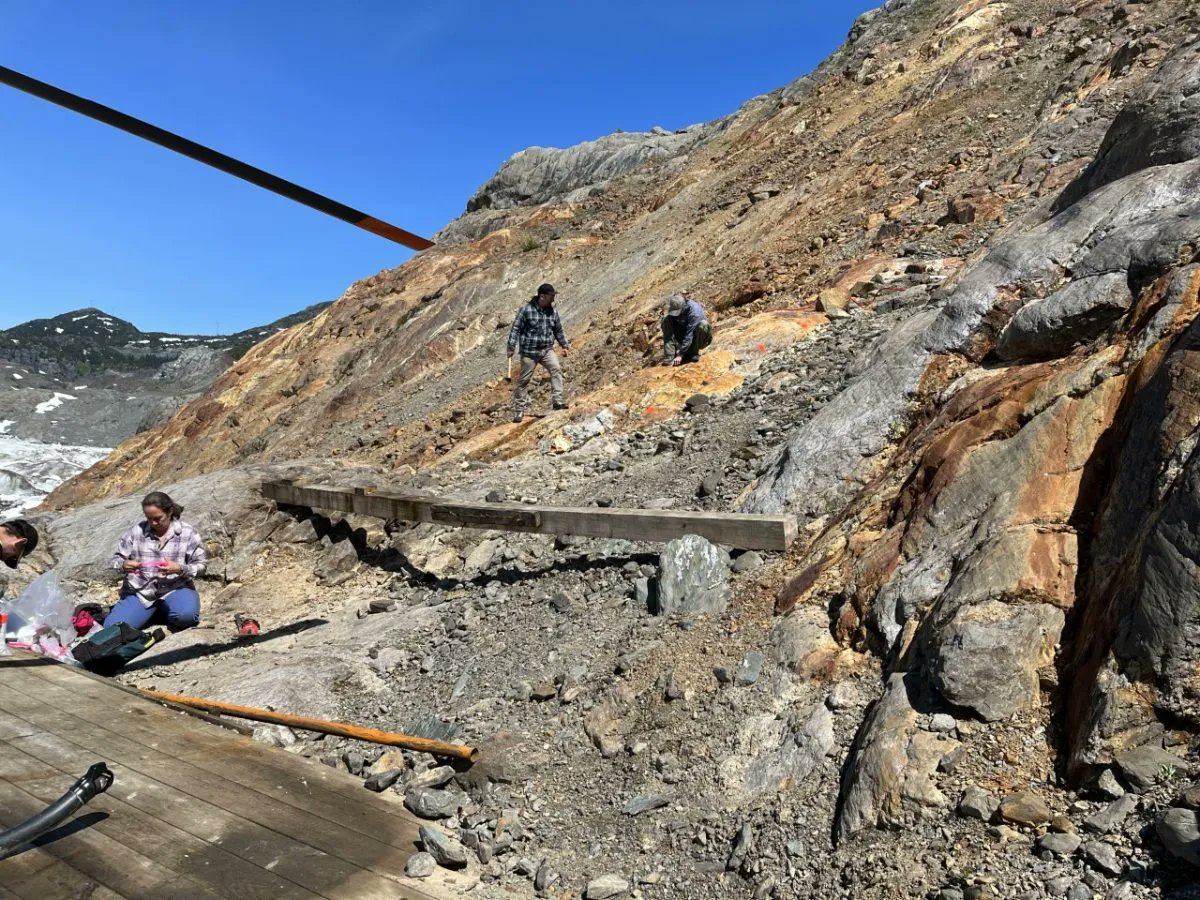 OPVentures_'s tweet photo. Our team is hard at work at the Harry Project in the southern section of B.C.'s famous Golden Triangle!⛏

More Pics📸 https://t.co/UdG8oSNWmN

🇨🇦 $OPV 🇺🇸 $OPVLF
#MiningNews #JuniorMining #PreciousMetals https://t.co/mpf0if7bmK