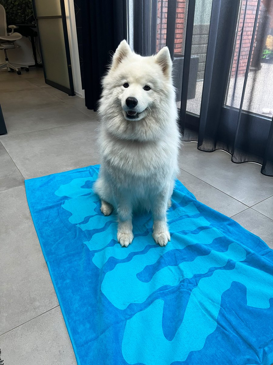 rutgervink's tweet photo. @jon_prosser @iupdate IT’S HERE! And it’s taken my my dog. Thankfully I got the signed photo! 😂❤️ https://t.co/1CfVGb2Ci8