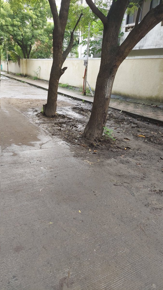 SushantD4's tweet photo. @PMCPune Could you please look into cleaning of this lane at the earliest. I had raised a complaint 2months back wherein it was only cleaned once. I don't understand why this lane is not cleaned regularly. https://t.co/YySSs4iRp0
