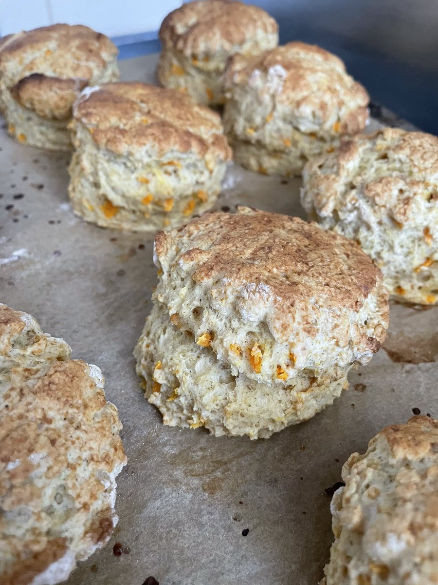 Alyson Medley 💙 tweet media