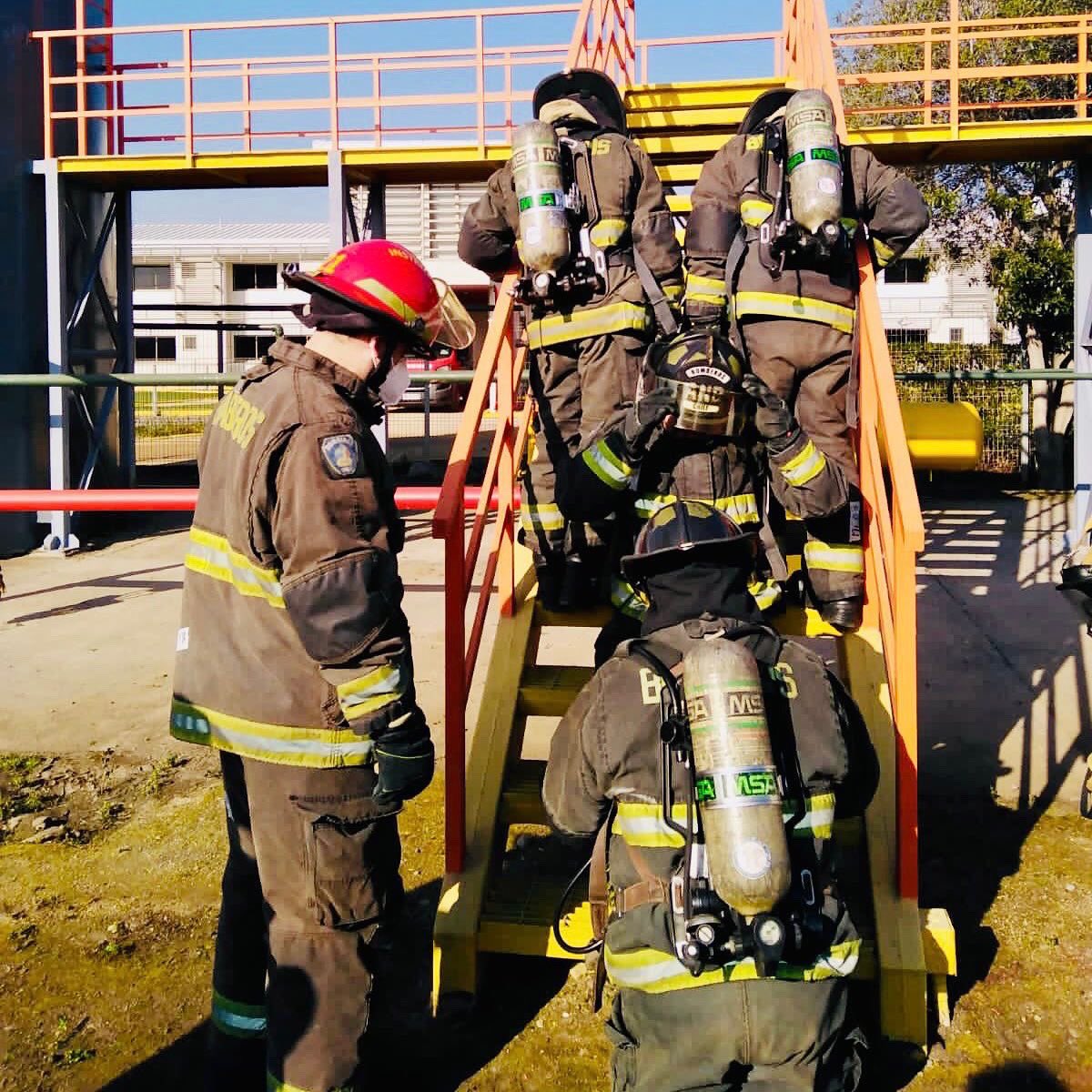 Vigesima tweet media