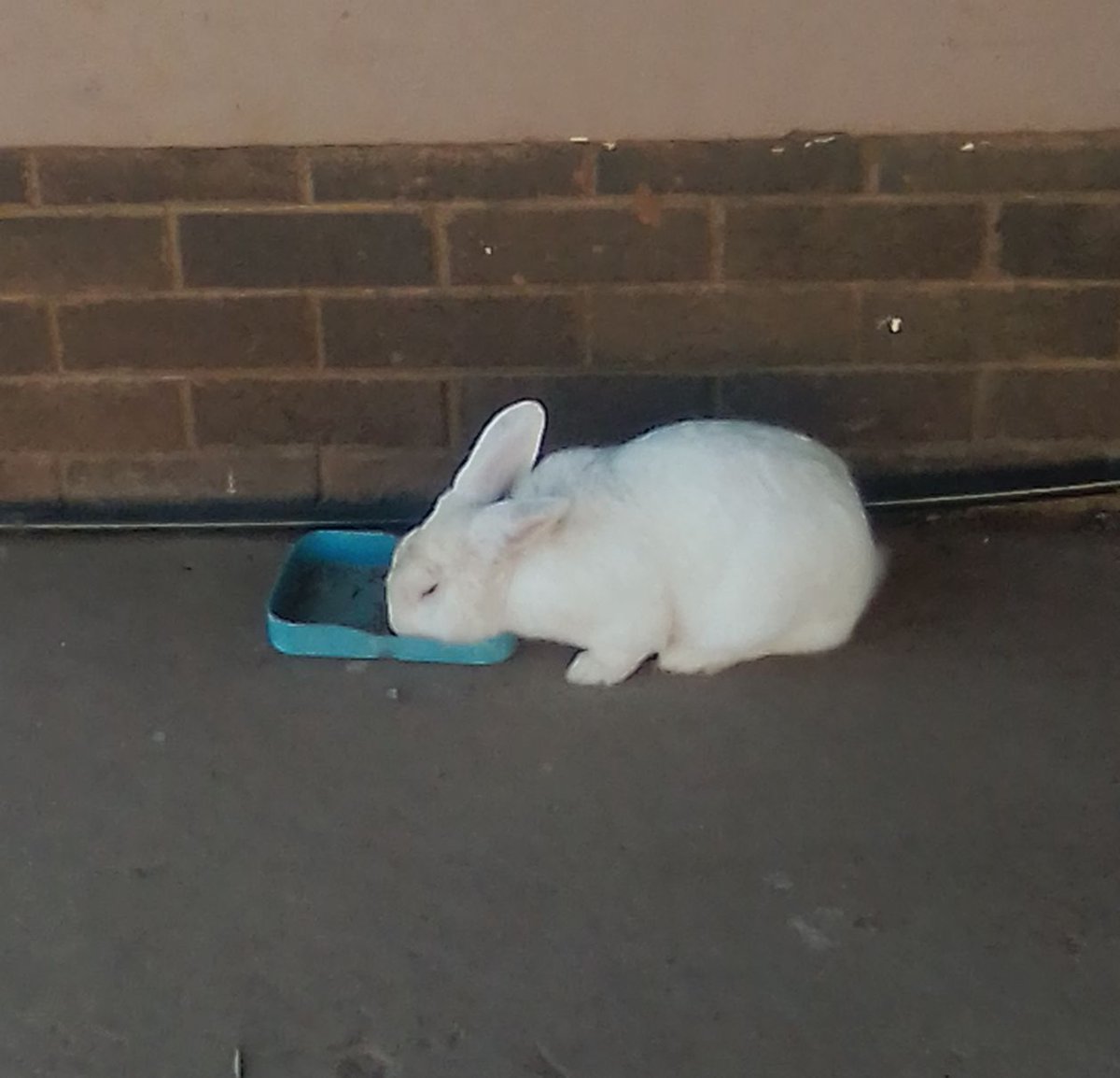 Shaun Barnard (@shaunbarnard20) on Twitter photo 