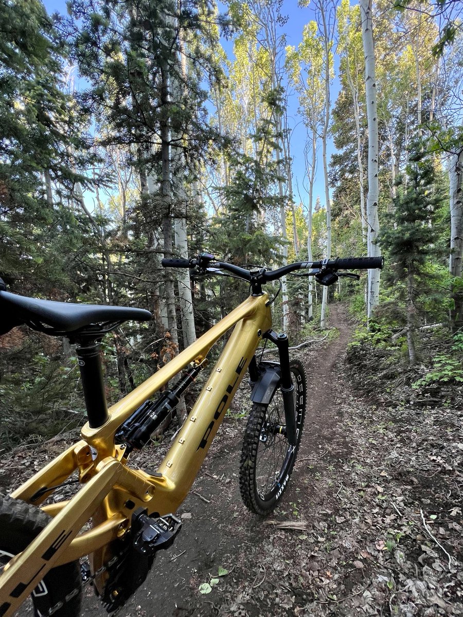 PoleBicycles's tweet photo. Threading the Voima πͺ‘ Only an E-bike that is fast, agile, and has the capacity to haul you back to the top, time and time again can be this much fun on the trails!
September Production Slots are available now.
#polevoima #ihavethevoima #emtb #emtblife #ebike #bikelife https://t.co/T4u4n91nQR