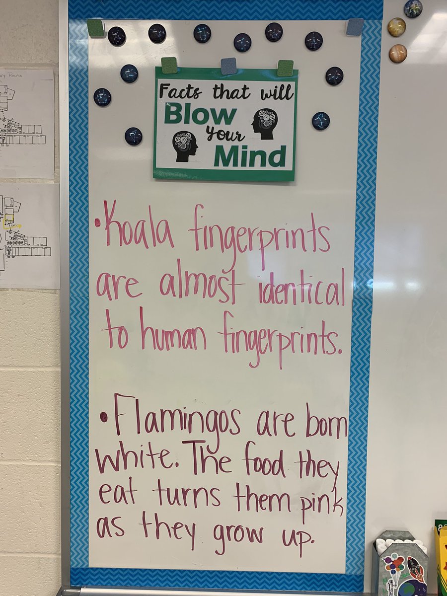 Farmer STEM Lab tweet media