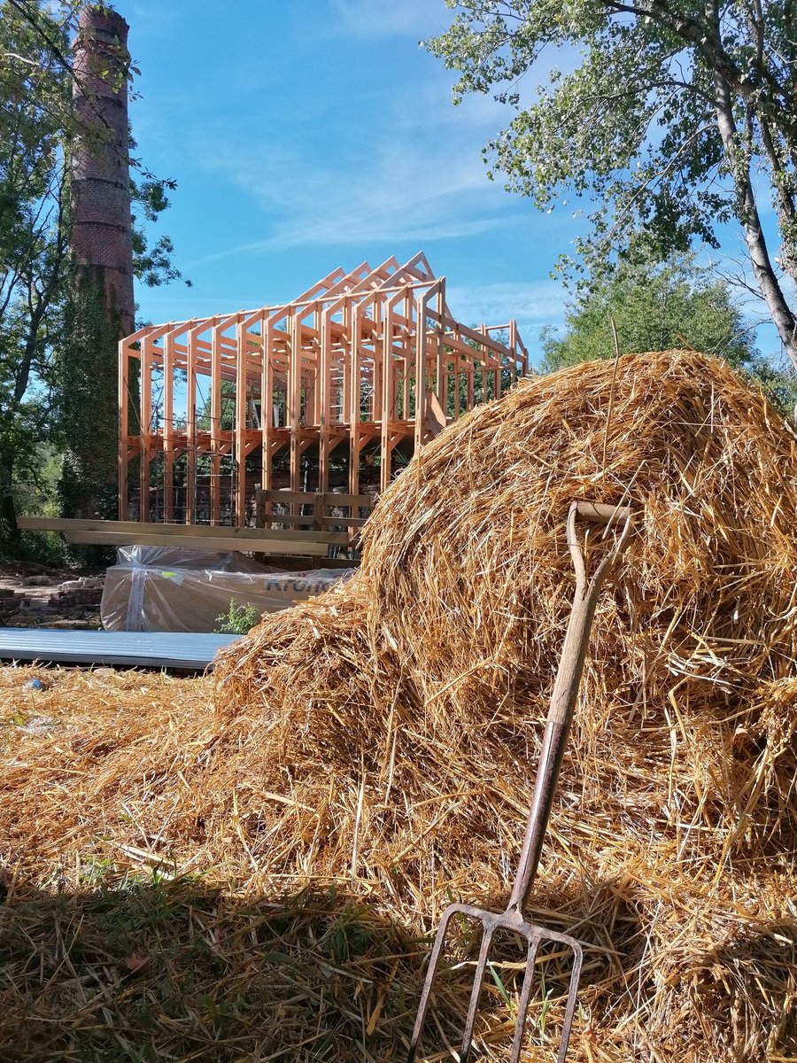 Chessa Milena tweet media