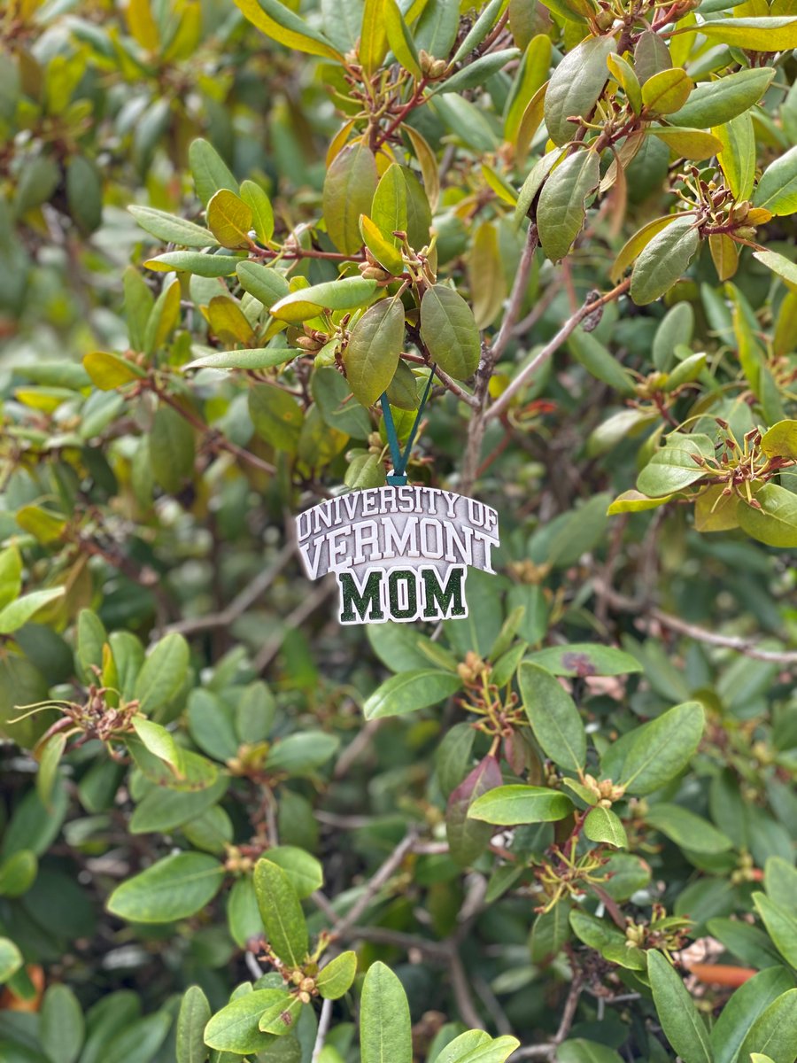UVMathletics's tweet photo. Proud Catamount Country Moms and Dads, give us a retweet for a chance to win!😺
#ThisIsVermont https://t.co/Sk7abjWjhk