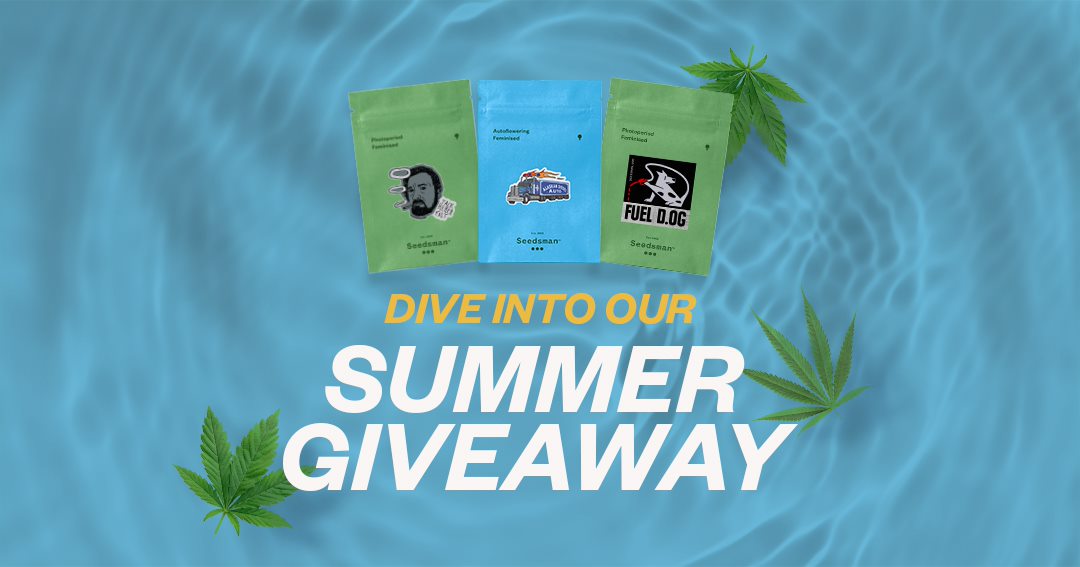 SeedsmanSeeds's tweet photo. ⌛ There are only a few hours left to take part in the #SummerSelection giveaway and become the ultimate winner! 🏆 

Go, go, go! https://t.co/uf8gx1Zcoy

#seedsmanseeds #summerselection https://t.co/7ZnOGWAvAk