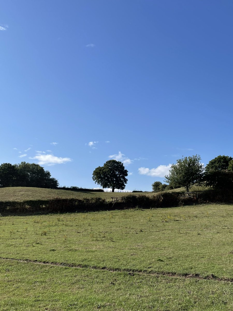 _timwiddowson's tweet image. Well that’s taken a turn for the better …Left town in torrential rain at 3; Up the hill with warm sunshine and blue skies 2 hours later. #Hucknall 5pm #SummerIsBack ☀️