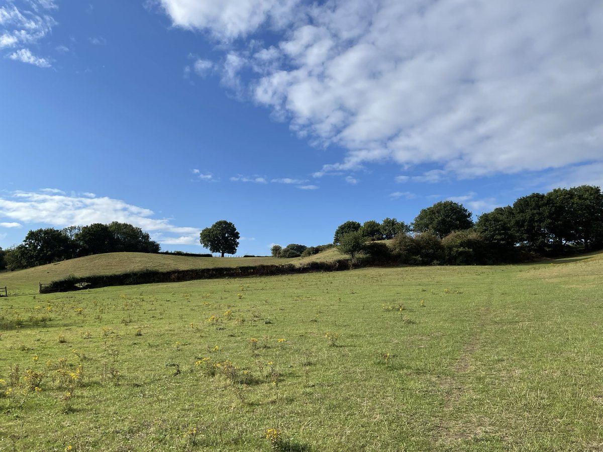 _timwiddowson's tweet image. Well that’s taken a turn for the better …Left town in torrential rain at 3; Up the hill with warm sunshine and blue skies 2 hours later. #Hucknall 5pm #SummerIsBack ☀️