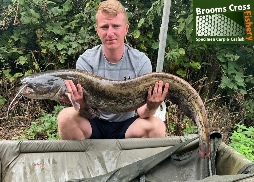 Jordan McLean still getting amongst those catfish..  another one for his album. 
07740082025 for all bookings and peg availability