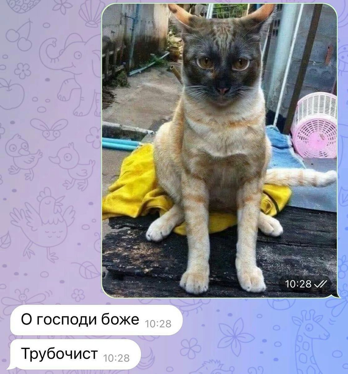 сон Маяковского tweet media