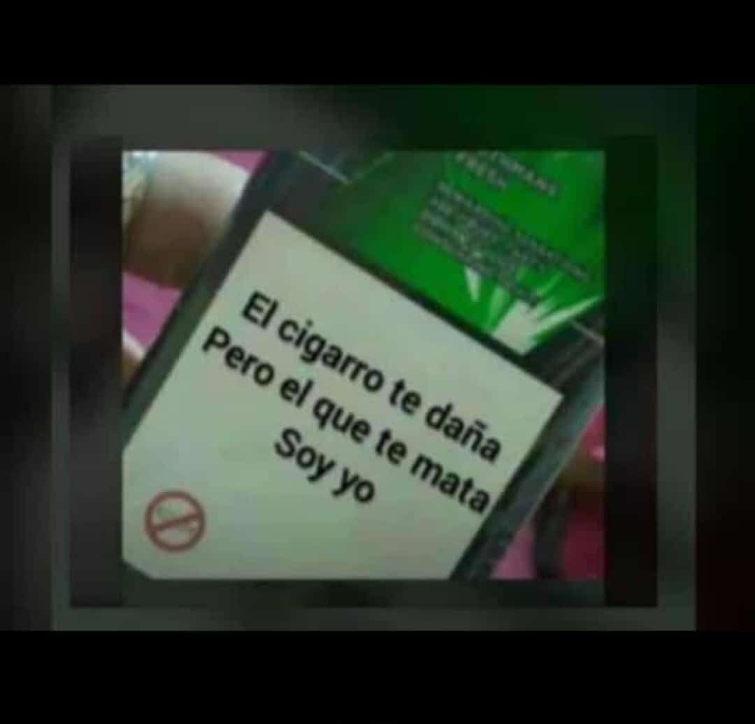 alejandro_0w's tweet photo. -jjaa ejverda yo soy el q t mata 

Pov:si 😅 https://t.co/HmtNvJYwkZ