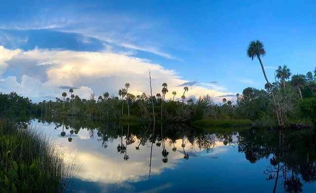 FLStateParksFdn's tweet photo. “Life isn’t a matter of milestones but of moments.” - Rose Kennedy
IG: @dwightkingsbury
At Econfina River State Park
#FloridaStateParks #FloridaStateParksFoundation #FlStateParksFdn #ExploreFLParks #TheRealFlorida #UnlockFlorida #ExploreFlorida https://t.co/anWe1ImhKs