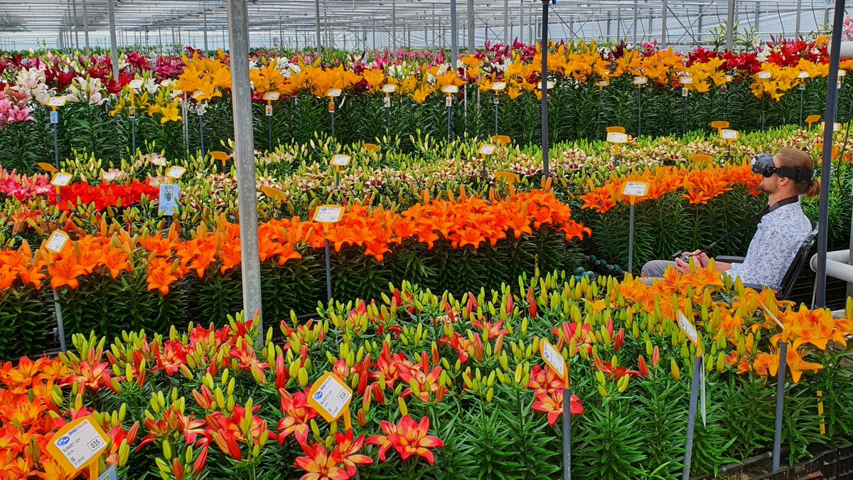 360° tour through the lily trials - mailchi.mp/ea730cee7035/t…