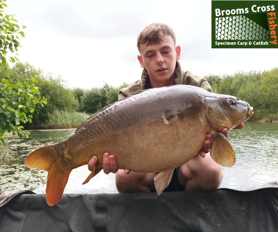 Looks who's making an appearance... It's our very own Banoffee! 
Ross Vernon slipped the net under our baby superstar and started a list of captures for him... 
07740082025 for all bookings and peg availability