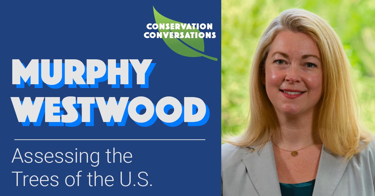 NatureServe (@natureserve) on Twitter photo How many trees are in the US, and how many are at risk of extinction? What makes a tree a tree? Find out in our latest #ConservationConversations #podcast episode, featuring <a href="/MurphyWestwood/">Murphy Westwood</a>, VP of Science and Conservation at <a href="/MortonArboretum/">MortonArboretum</a>!
Listen now: link.chtbl.com/C9FS5xtv How many trees are in the US, and how many are at risk of extinction? What makes a tree a tree? Find out in our latest #ConservationConversations #podcast episode, featuring <a href="/MurphyWestwood/">Murphy Westwood</a>, VP of Science and Conservation at <a href="/MortonArboretum/">MortonArboretum</a>!
Listen now: link.chtbl.com/C9FS5xtv