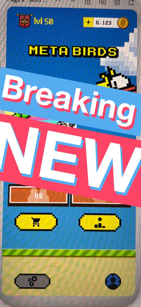 meta_birds's tweet photo. MetaBirds is having a redesign coming next month! 

Before that happens rest assured we are fixing a little bug 🐛 that is preventing you guys from passing 1k pipes! 

❤️RT, Like and Comment ! https://t.co/toVb5LgMlw