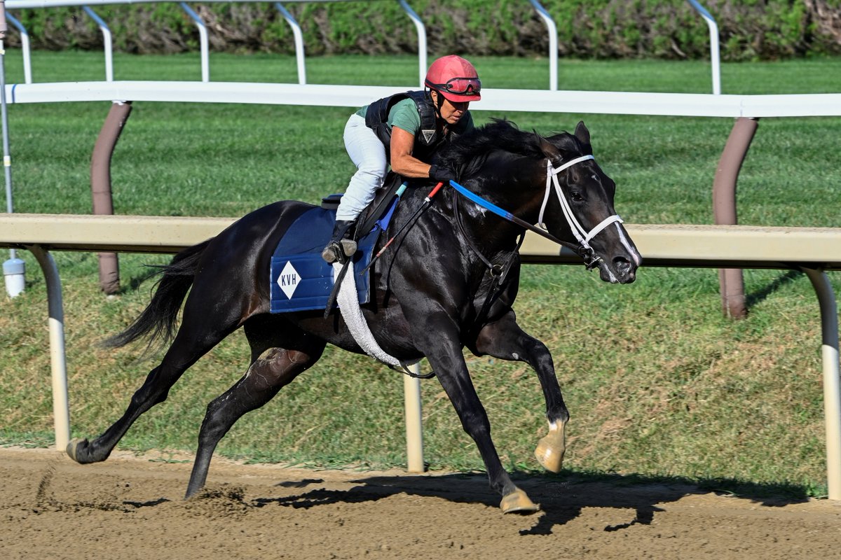 Trainer of #AintLifeGrand <a href="/Kvonhemel/">Kelly Von Hemel</a> talks with our <a href="/BH_AEberhardt/">Anne Eberhardt Keogh</a> about the Iowa-bred son of Not This Time and his poise in preparing for Saturday's Travers Stakes (G1) at Saratoga.

WATCH ON BH+ → bit.ly/3pKk2kl

📸 <a href="/SKIPSCAM/">©Skip Dickstein</a>