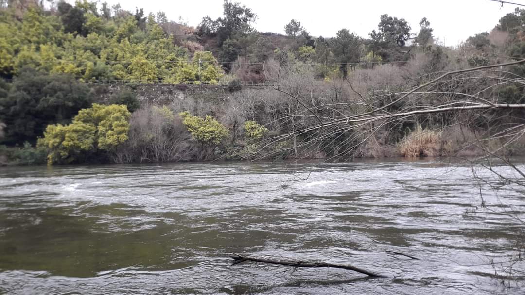 O pozo Maimón na tradición oral de #Toén:

"Os meus avós, que naceran a finais do XIX e vivían no Moreiro (parroquia de Mugares) contaban que se berradas no Pozo Maimón (no río Miño): Morreu o bispo?-, o Demo respostaba: -Morreuuu!!-."

📸O Miño á altura do Maimón.