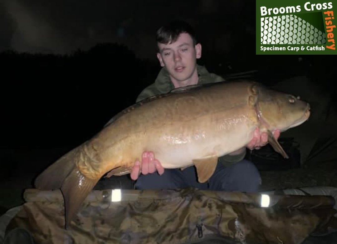 Another A Team for the album for Ross Vernon and it's The Friendly Mirror, Eclipse. 
07740082025 for all bookings and peg availability