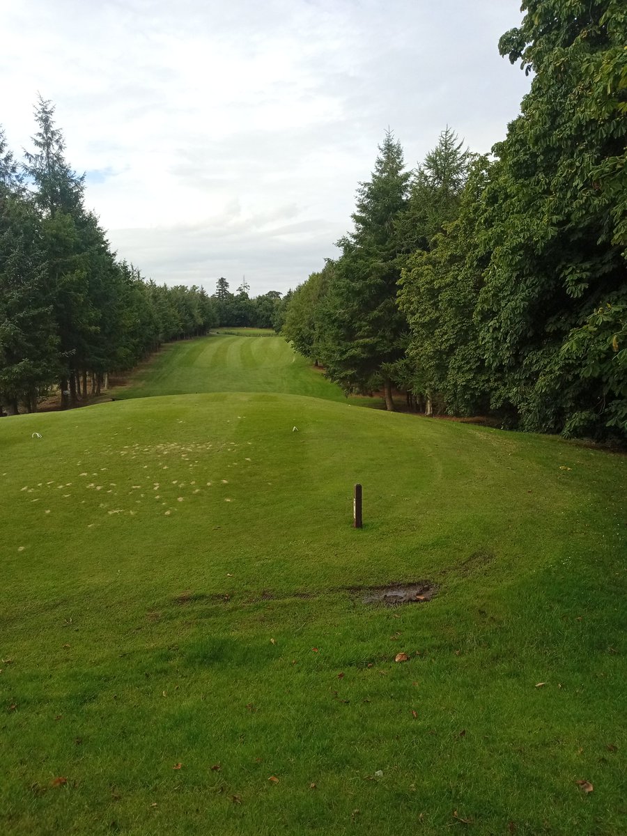 Brian Doyle tweet media