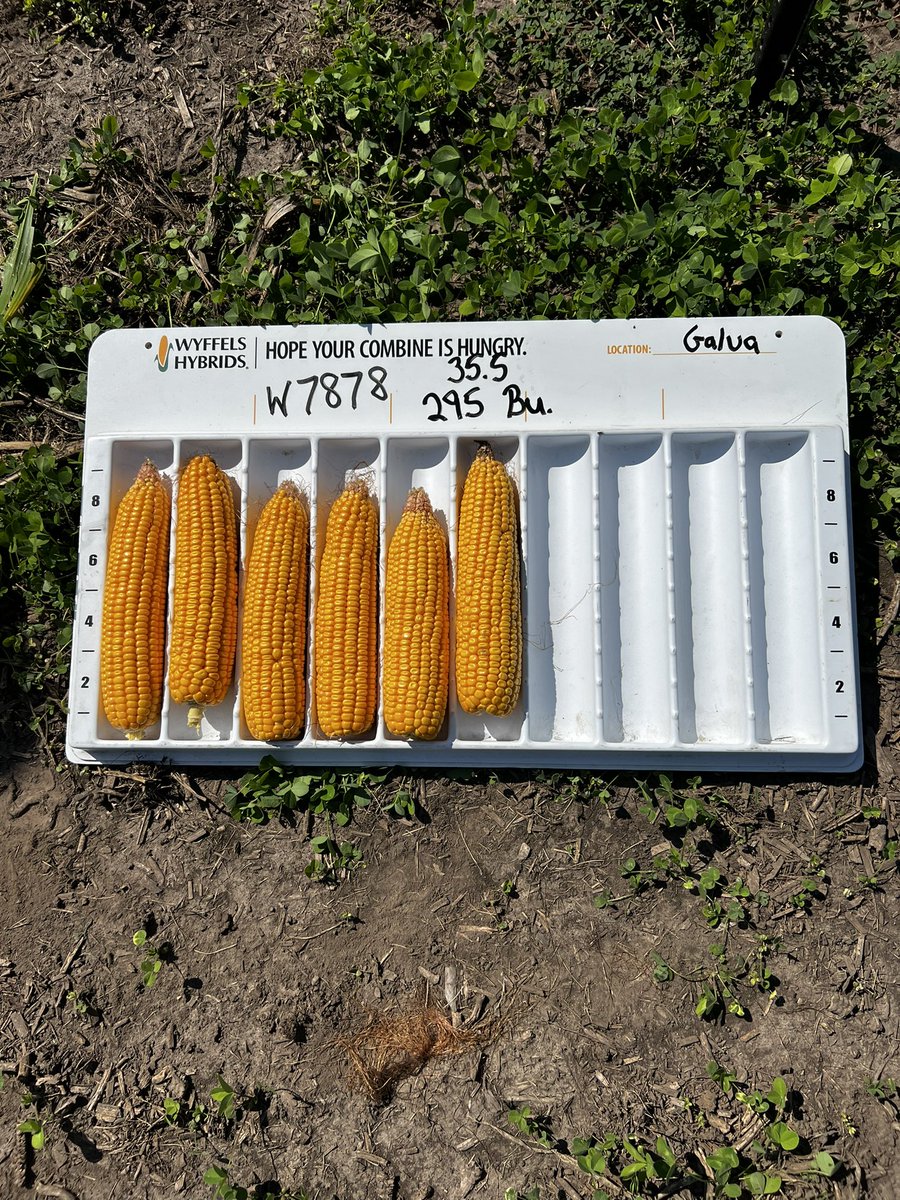 Chris Brooks tweet media