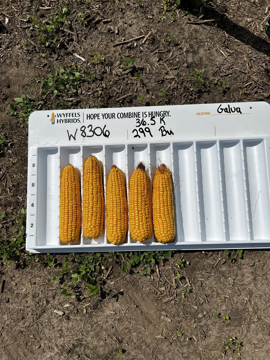 Chris Brooks tweet media