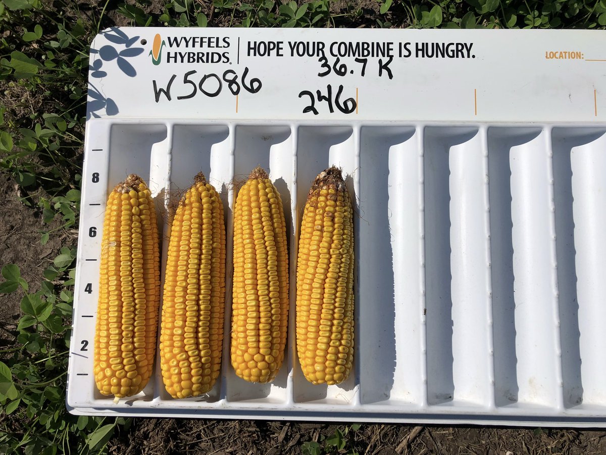 Chris Brooks tweet media