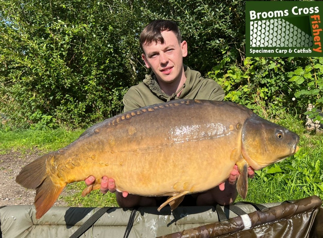 ** P B ALERT**
Ross Vernon with The Mean Eyed Mirror at 27lb 6oz and a new personal best to top  his session of
Congratulations Ross
07740082025 for all bookings and peg availability
