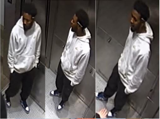 OttawaPolice's tweet photo. Man Charged in Gloucester Street Kidnapping and Robbery – Seeking Public Assistance to Identify Suspects https://t.co/INT8MYxEKG  #Ottnews https://t.co/Fzv19gwofN