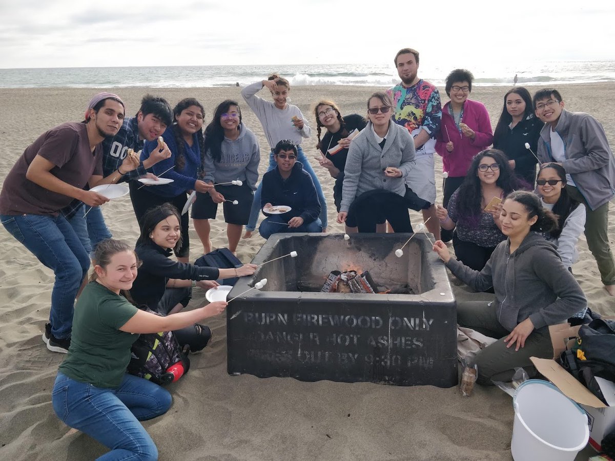 USF Dons Band tweet media