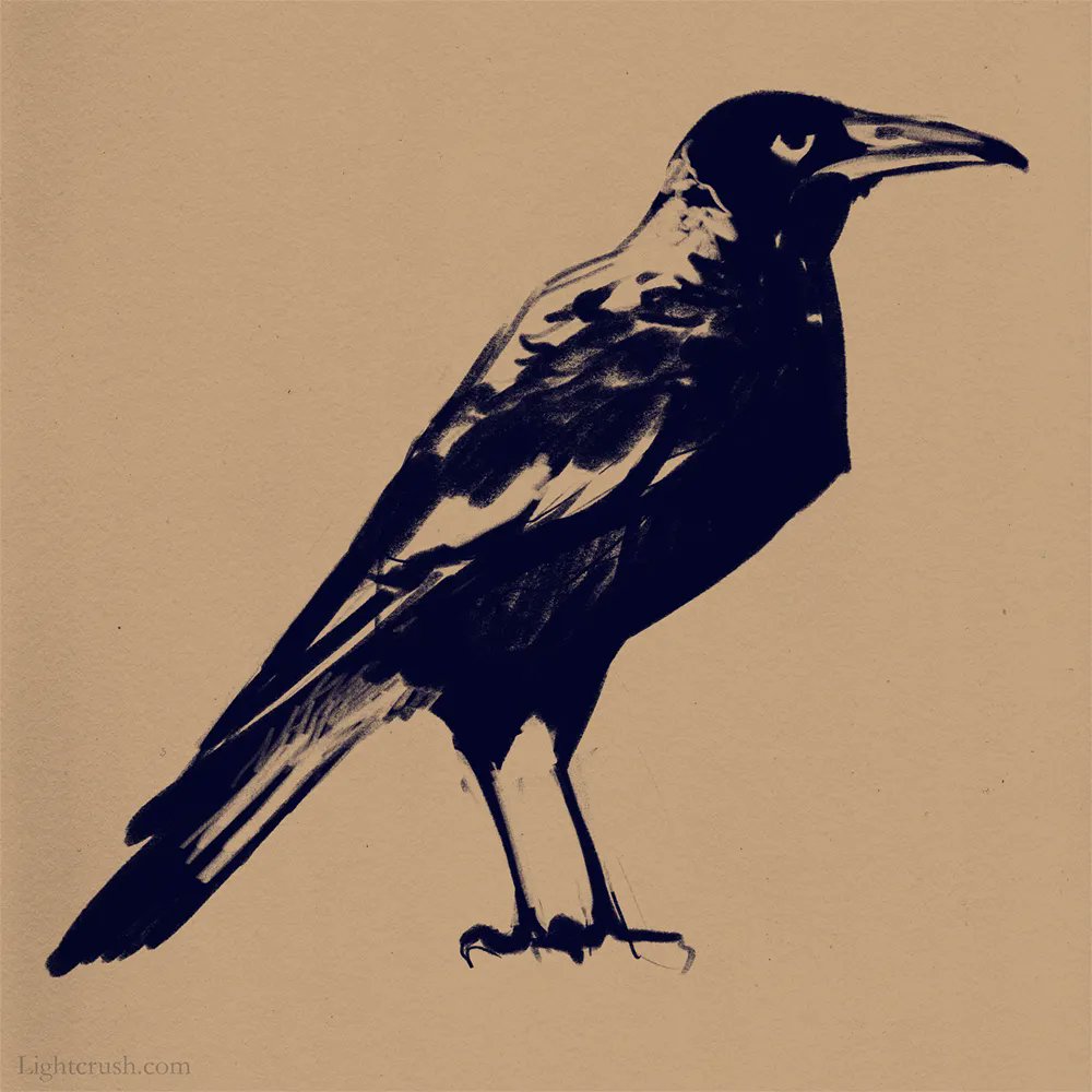 「Bird 16#dailyfeathers 」|Jenna Vincentのイラスト