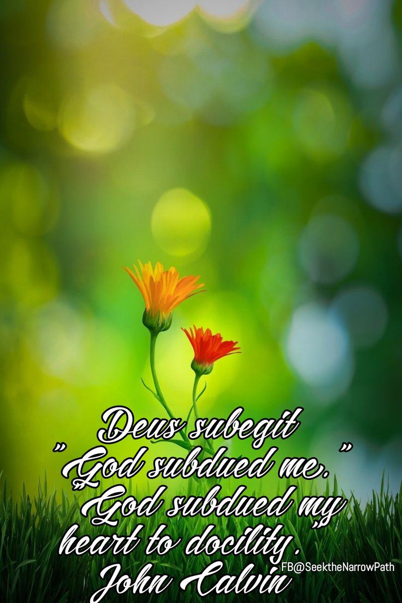♥️🙏