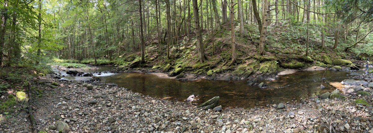 Pretty awesome place for a writers conference. #breadloafwriter