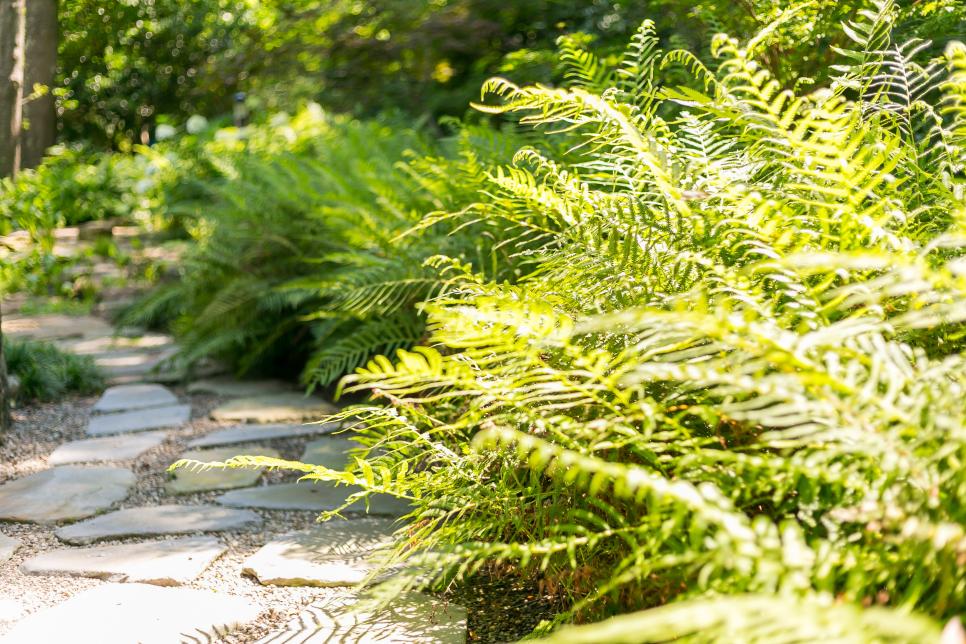 Adding a stone path to a garden is a good option for directing foot traffic through the space. #exteriors #hometips  cpix.me/a/151636523
