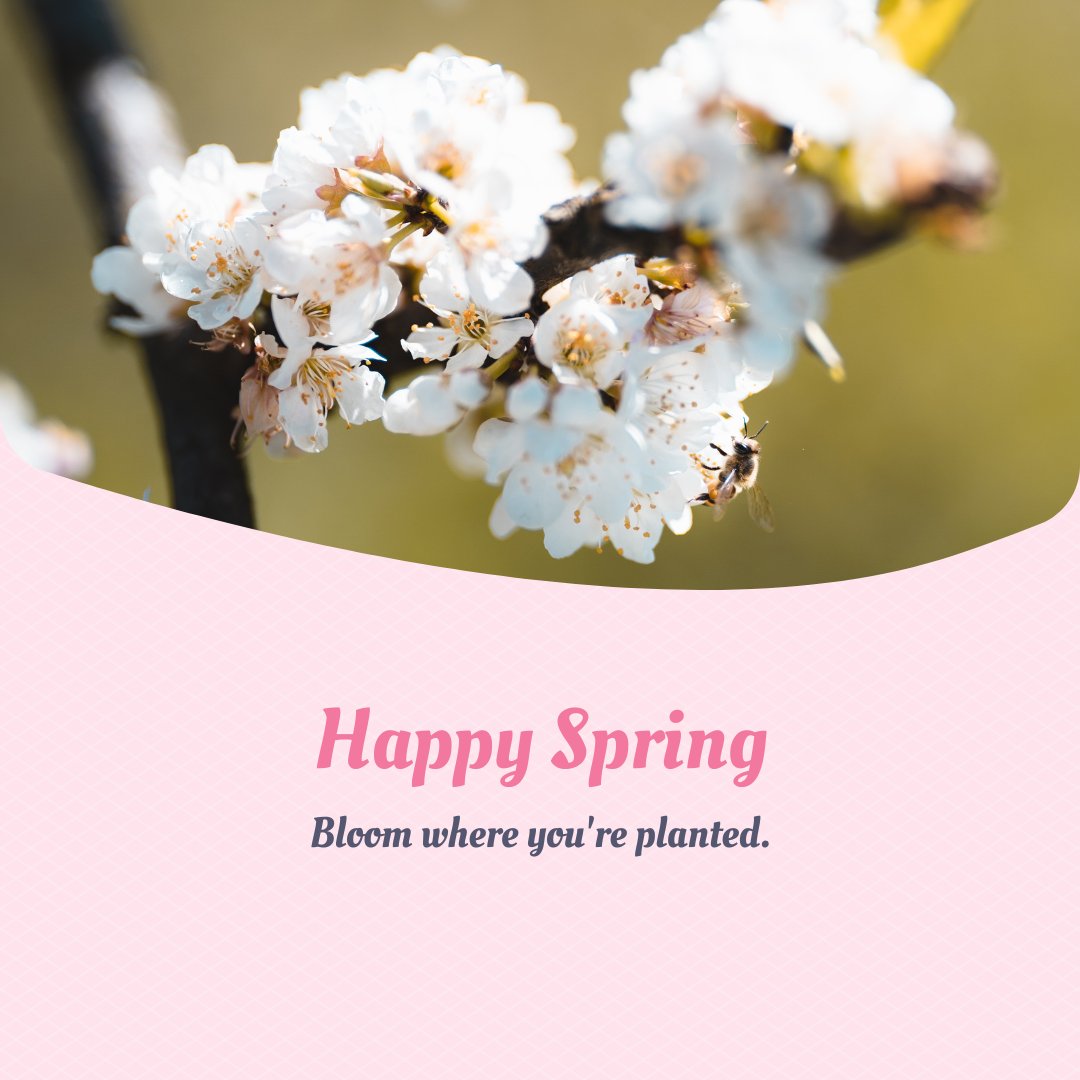 LightridgeLibrary (@lrhlibrary) on Twitter photo 