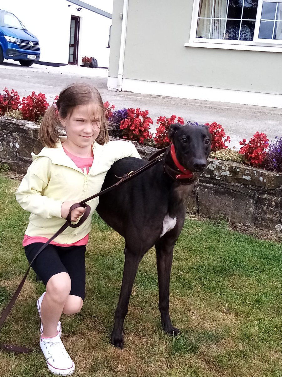 shelbournepark's tweet photo. 📣 Number 1 Fan!

Last week Kacie was sending her support from holidays....well this week she went one better and popped by trainer @PatrickGuilfoy4 to wish Magical Kuba good luck in @Boylesports Irish Greyhound Derby 2nd Round 💕

#BoyleSportsIGD #ThisRunsDeep #GoGreyhoundRacing https://t.co/Imh3nNWIk4
